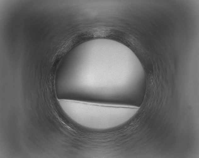 X0000054470311200507291054