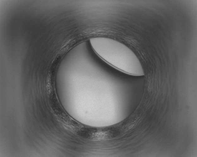 X0000054470312200507291054