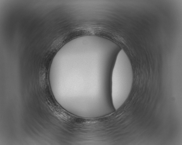 X0000054470314200507291054