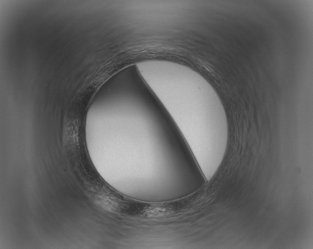 X0000054470315200507291054