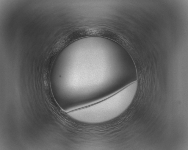 X0000054470317200507291054