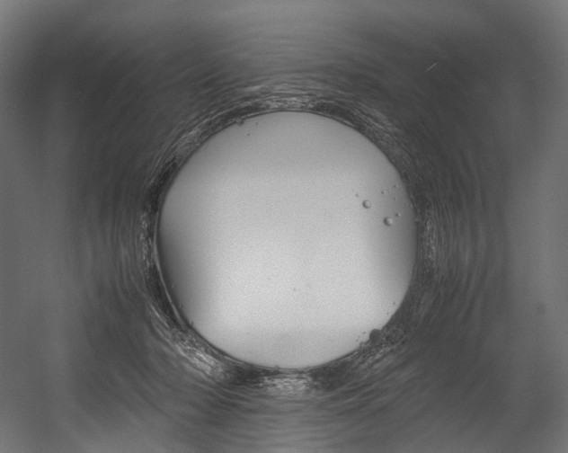 X0000054470318200507291054