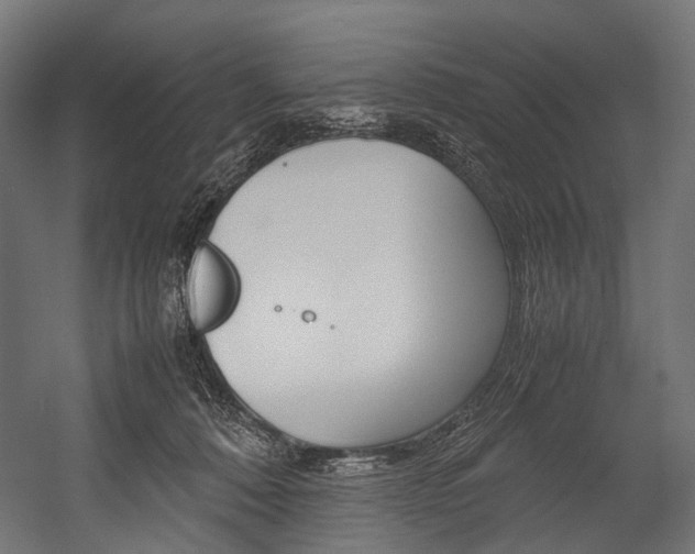 X0000054470320200507291054