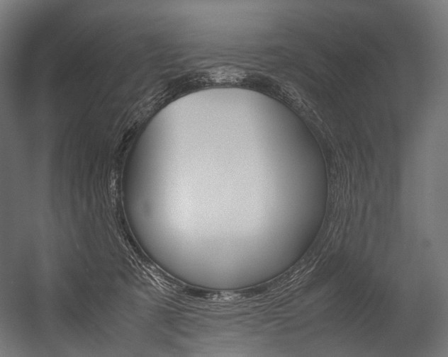X0000054470321200507291054