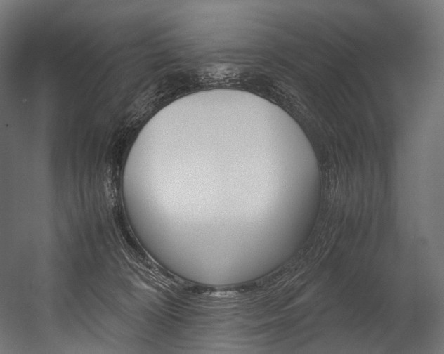 X0000054470324200507291054