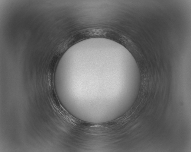 X0000054470326200507291054