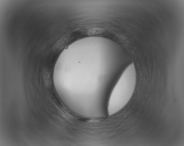 X0000054470327200507291054