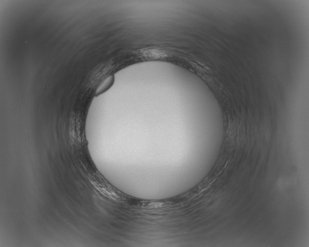 X0000054470330200507291054