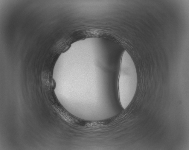 X0000054470331200507291054