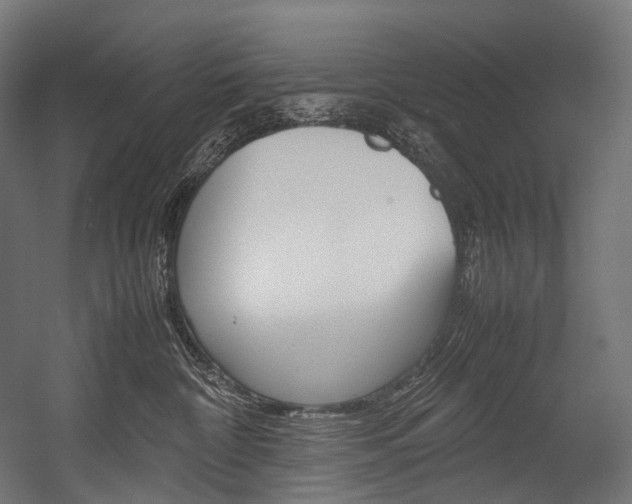 X0000054470332200507291054