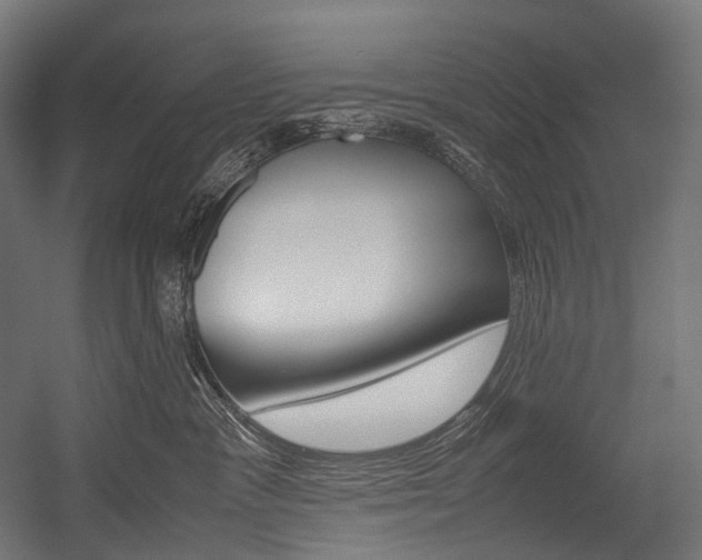 X0000054470333200507291054