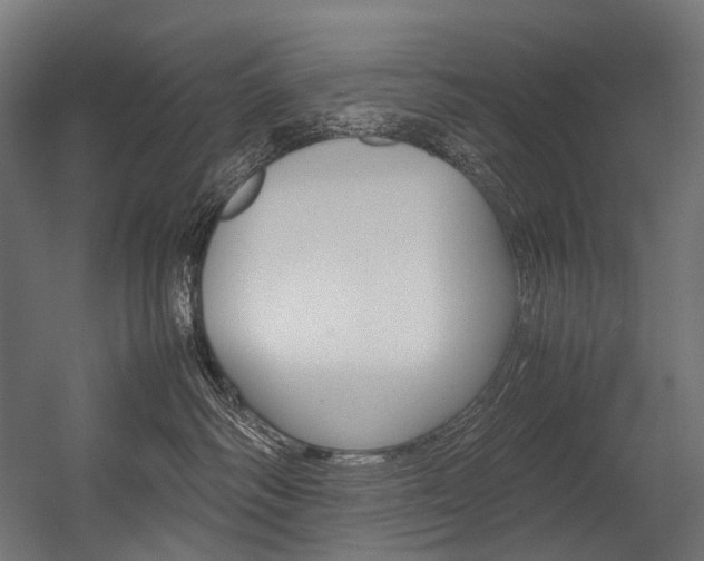 X0000054470334200507291054