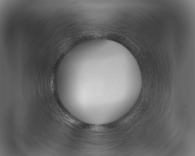 X0000054470336200507291054