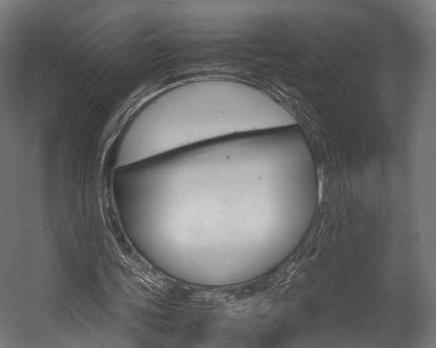 X0000054470339200507291053