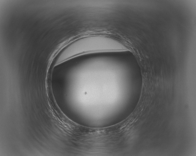 X0000054470340200507291053