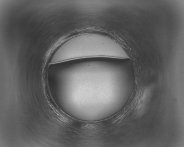 X0000054470341200507291053