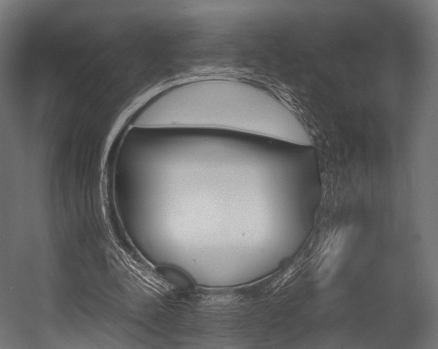 X0000054470342200507291053