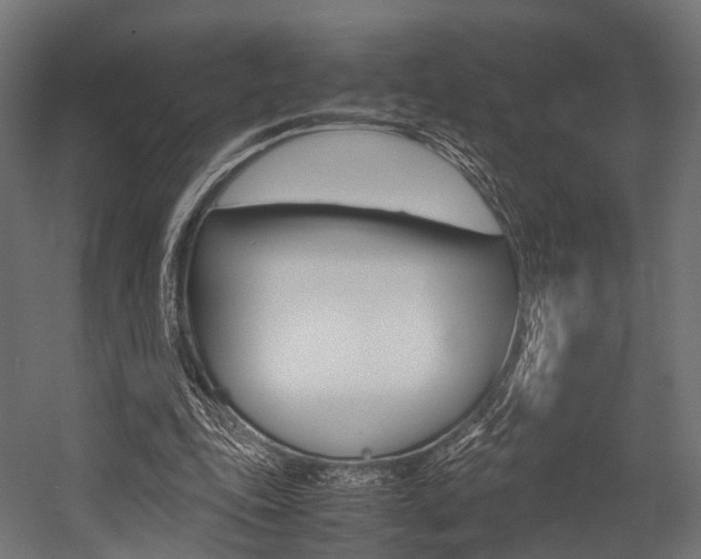 X0000054470343200507291053