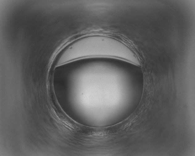 X0000054470344200507291053