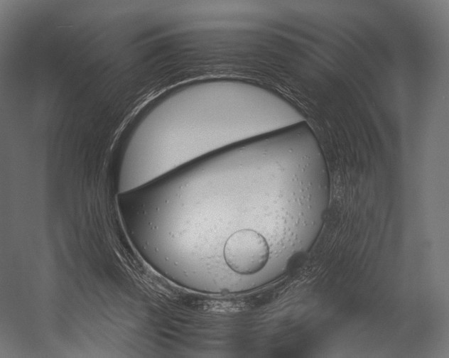 X0000054470347200507291053