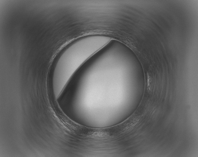 X0000054470348200507291053