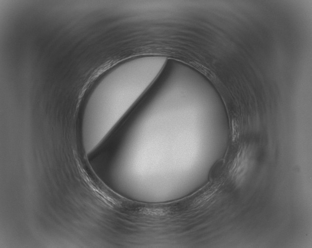 X0000054470349200507291053