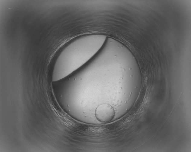 X0000054470351200507291053