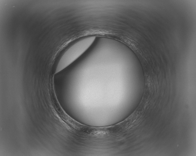 X0000054470352200507291053