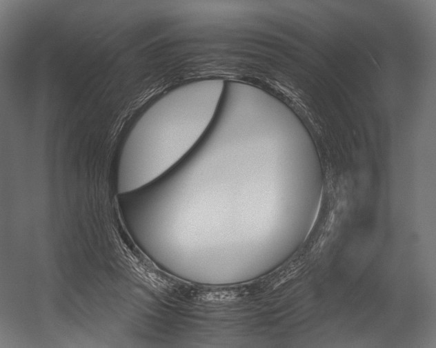 X0000054470353200507291053