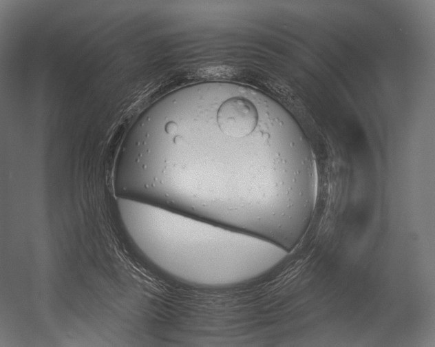 X0000054470355200507291053