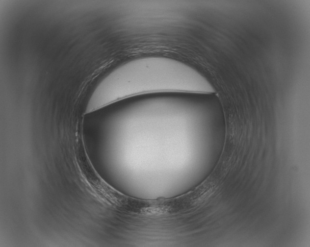 X0000054470356200507291053
