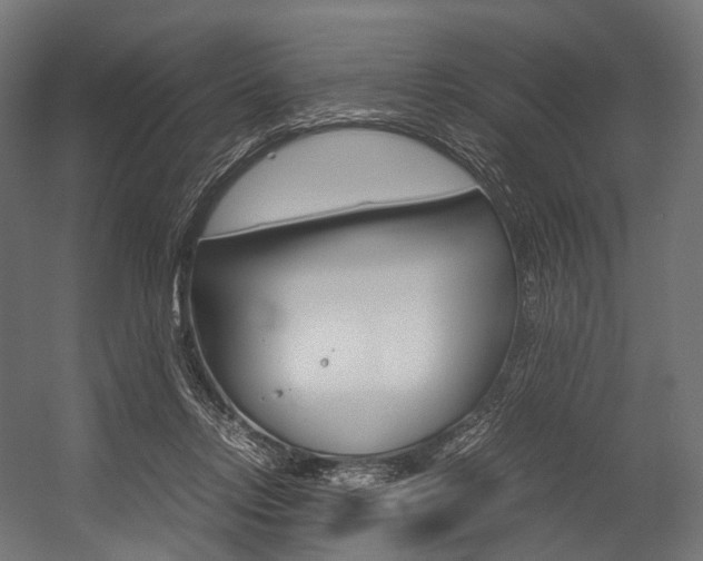X0000054470358200507291053