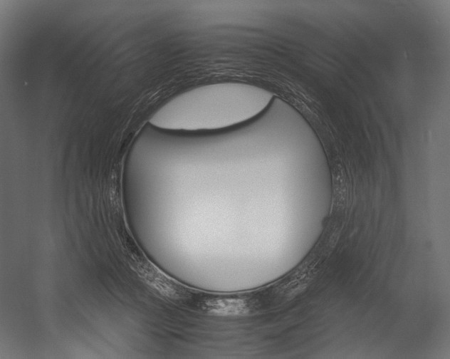 X0000054470361200507291053