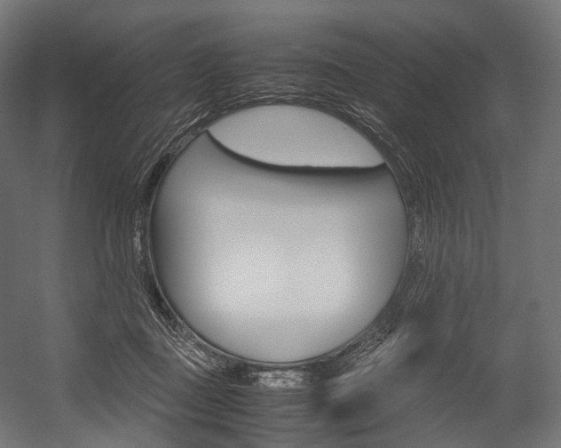 X0000054470363200507291053