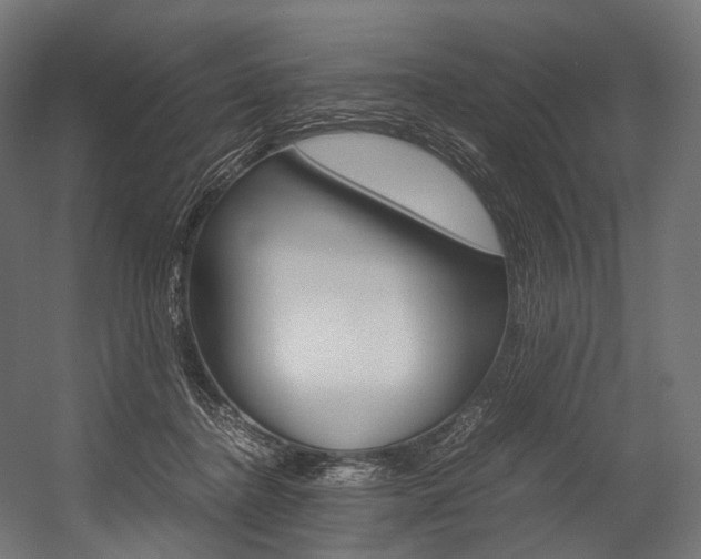 X0000054470364200507291053