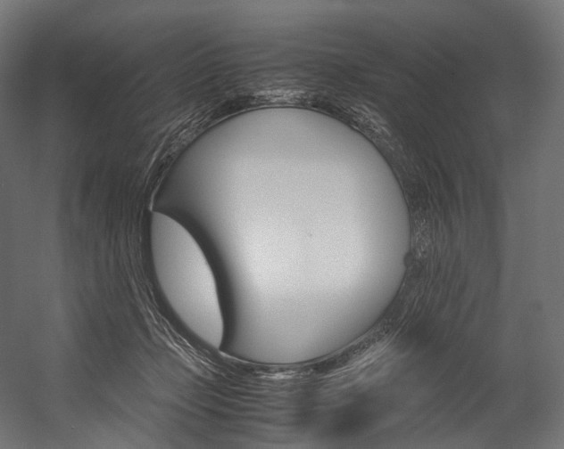 X0000054470365200507291053