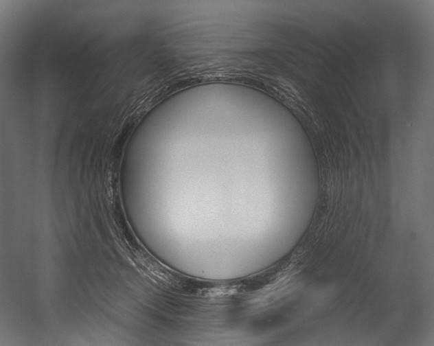 X0000054470366200507291053