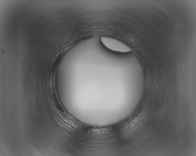 X0000054470367200507291053