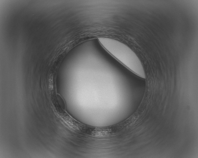 X0000054470368200507291053