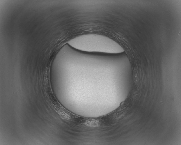 X0000054470369200507291053