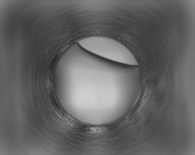 X0000054470371200507291054