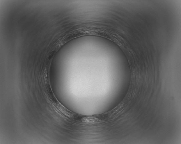 X0000054470372200507291054