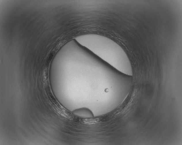 X0000054470373200507291054