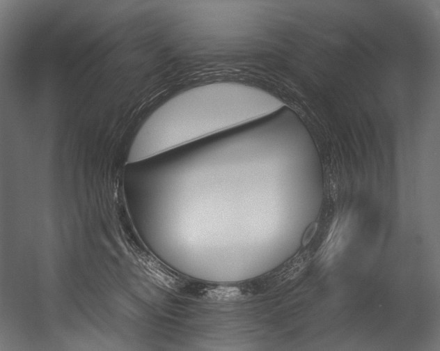 X0000054470374200507291054
