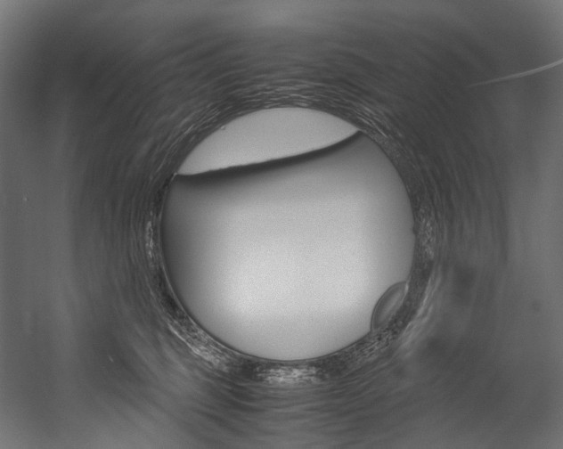 X0000054470375200507291054