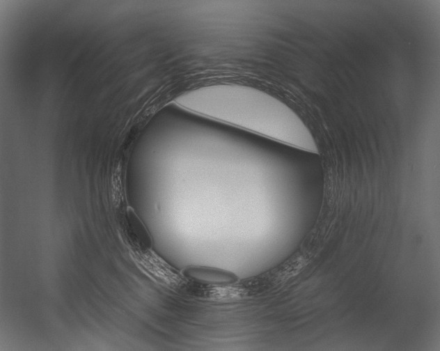 X0000054470376200507291054