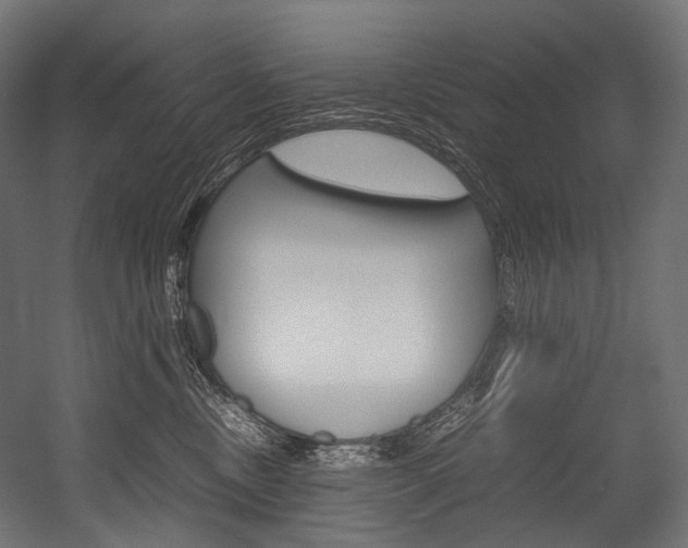 X0000054470378200507291054