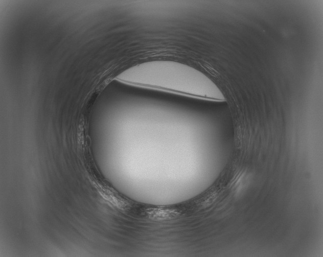 X0000054470379200507291054