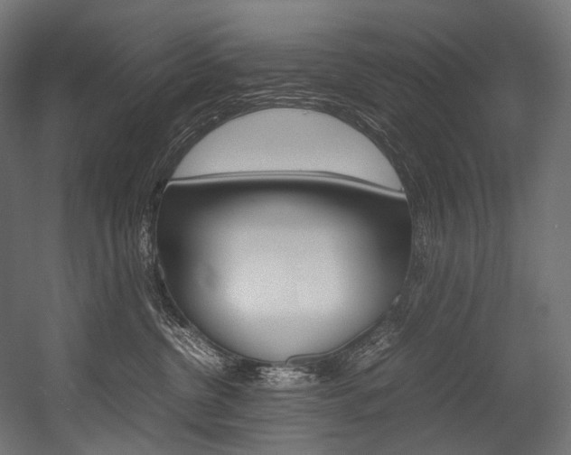 X0000054470380200507291054