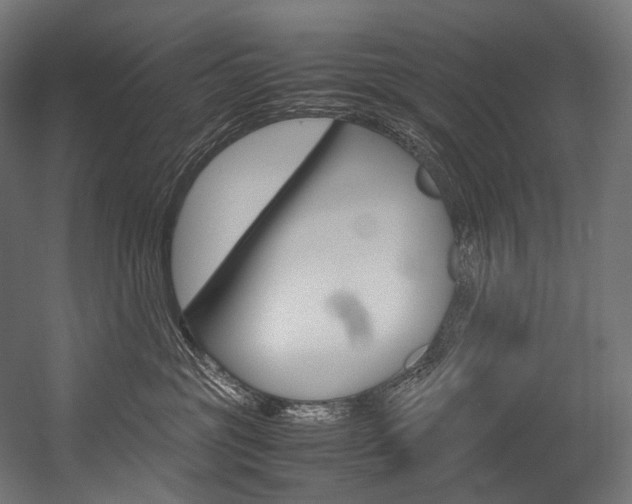 X0000054470381200507291054